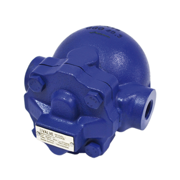 BV500Threaded BV500Threaded