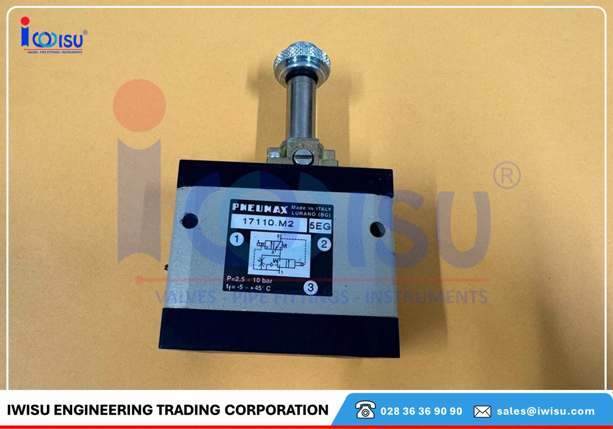 PNEUMAX 17110.M2 PNEUMAX 17110.M2 1