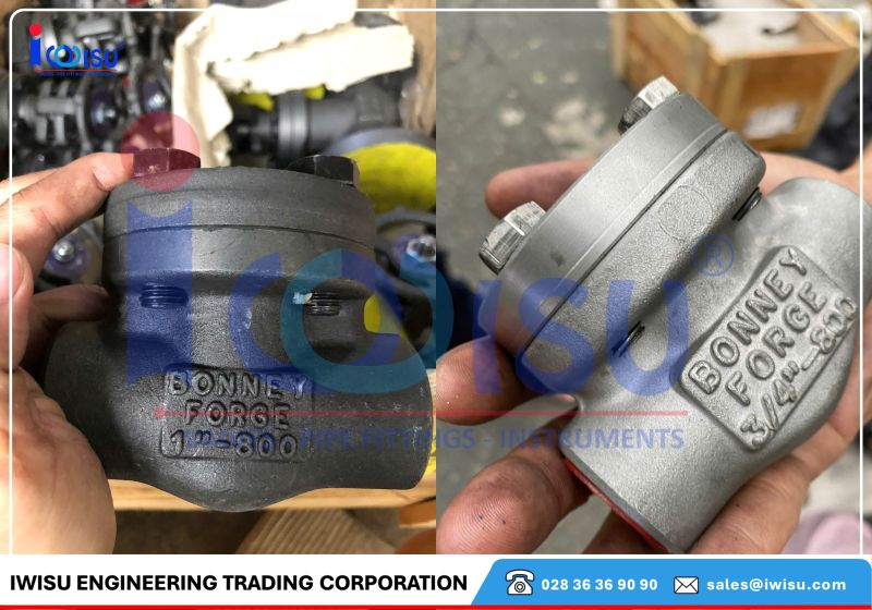 van một chiều forged check valve class 800 - 1500 van mot chieu forged check valve class 800 1500